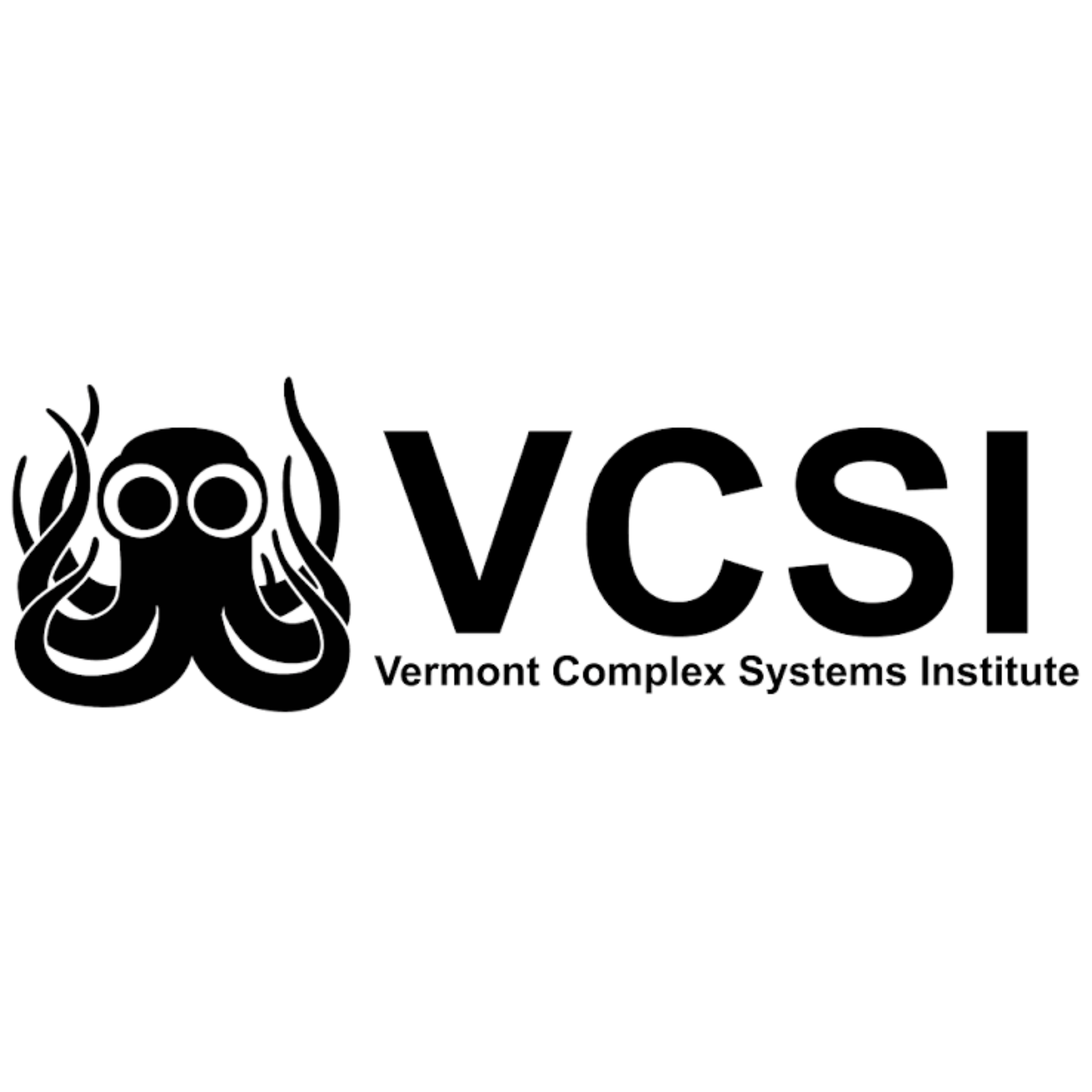 Vermont Complex Systems Institute